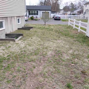 Leaf Removal by Spartan Landscaping reviewed on September 9, 2025