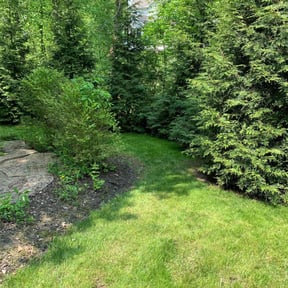 yard care by Lawn Care reviewed on November 30, 2025