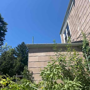 Bush Trimming by Monteocha Lawn Care Services reviewed on August 5, 2026