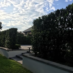 Bush Trimming by Four Level LLC -678.688.LAWN reviewed on August 18, 2025