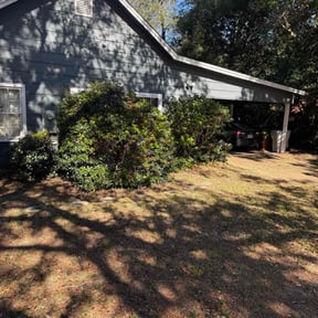 Bush Trimming by BBL Services reviewed on December 16, 2025