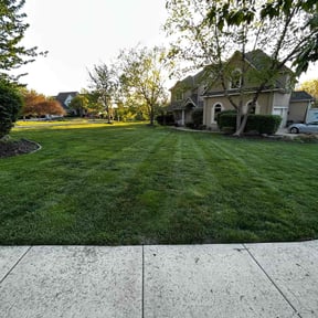 grass cutting by Joe Molinaro reviewed on August 17, 2025