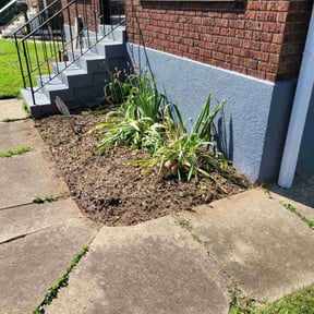 Flower Bed Weeding by Rc lawn care Service reviewed on December 18, 2025