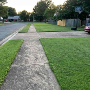 landscaping services by A Closer Look Residential Inspections LLC reviewed on August 21, 2025