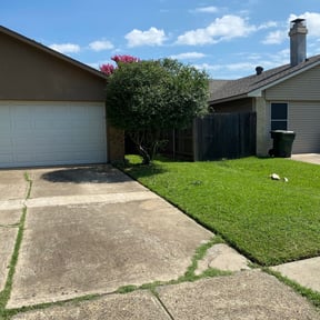Bush Trimming by Inspo Lawncare reviewed on August 19, 2025