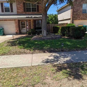 residential landscaping by Tyler's Touch Lawn Care reviewed on November 19, 2025