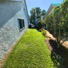 Bush Trimming by Dixon Mow &amp; Trim, LLC reviewed on November 23, 2025