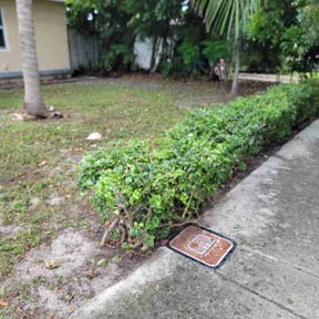Bush Trimming by ShiftChange LLC Lawn Service reviewed on August 15, 2025