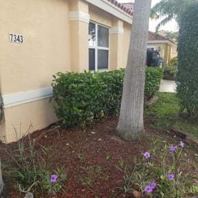 Bush Trimming by The leaf village reviewed on August 19, 2025
