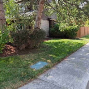 Bush Trimming by Super junior Express reviewed on November 9, 2025