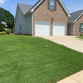 landscape maintenance by A1 lawns reviewed on August 20, 2025