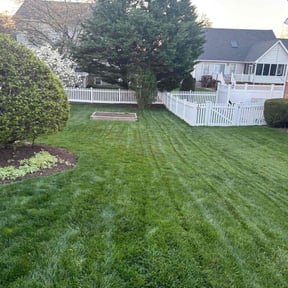 lawn maintenance by GZAG reviewed on August 15, 2025