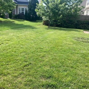 gardening service by M&N lawncare reviewed on August 18, 2025