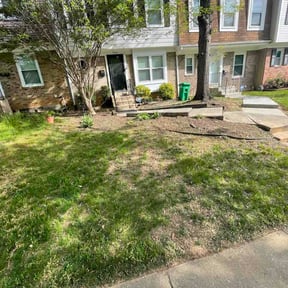 Bush Trimming by Harmony reviewed on April 22, 2026