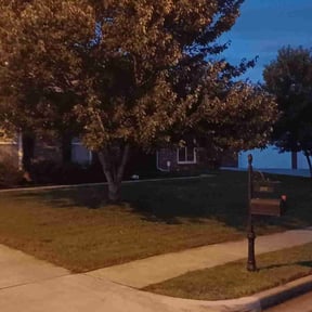 Bush Trimming by Picture perfect lawn maintenance reviewed on August 15, 2025