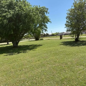 grass maintenance by B&amp;t lawn servicee reviewed on March 26, 2024