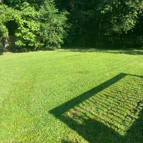 gardening service by MY LANDSCAPER reviewed on August 19, 2025