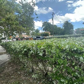 Bush Trimming by Frederickson Lawn Management reviewed on August 20, 2025