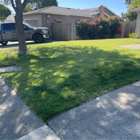 lawn care by Nashville Garden Scapes reviewed on August 15, 2025