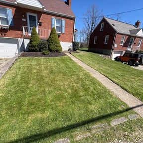 residential landscaping by CutBrothers lawncare reviewed on August 15, 2025