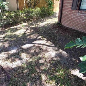 Leaf Removal by Dave&#039;s handyman services reviewed on September 19, 2025