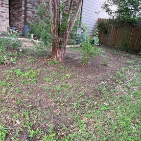 Leaf Removal by Tierra verde landscaping and stonemason reviewed on October 1, 2025