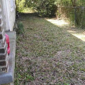 Bush Trimming by Tight Lines LawnService reviewed on August 18, 2025