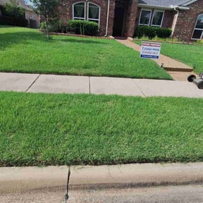 yard service by Alexito Landscaping reviewed on August 18, 2025