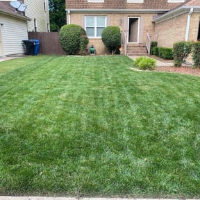 landscaping services by MR Lawn reviewed on August 14, 2025