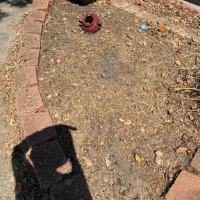 Flower Bed Weeding by LAID BACK LAWNCARE LLC reviewed on August 20, 2025