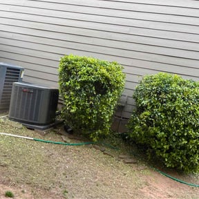 Bush Trimming by Nate&#039;s Scapes reviewed on November 27, 2025