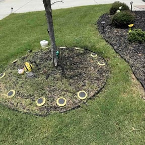 Flower Bed Weeding by nathanebyrd7@gmail.com reviewed on July 13, 2026