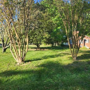 landscaping services by LKN Lawn Solutions reviewed on February 19, 2026