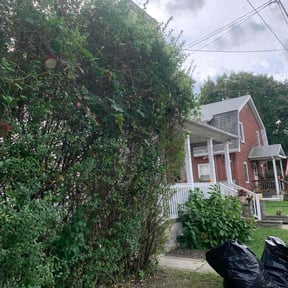 Bush Trimming by Parra&#039;s Lawn Service  reviewed on October 19, 2025