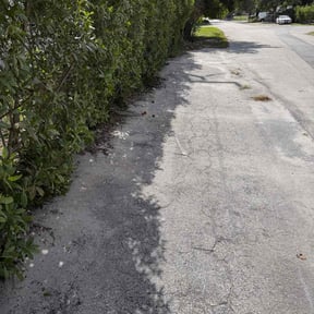 Bush Trimming by Price Lawn Care reviewed on November 19, 2025