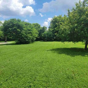 landscaping services by Bright Lawn Landscaping reviewed on August 17, 2025