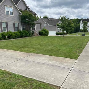 yard work by BeGreen Landscaping reviewed on August 15, 2025