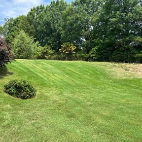 landscaping services by Super Mower Yard maintenance and landscaping reviewed on August 19, 2025