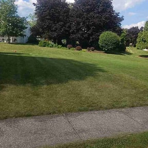 lawn maintenance by José Peraza All House Service reviewed on April 9, 2024