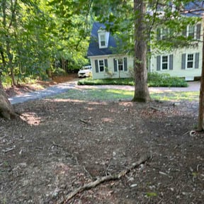Flower Bed Weeding by Speedys Contractor LLC reviewed on June 6, 2026