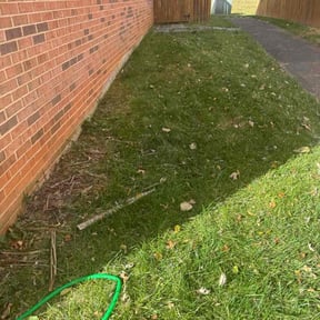 Leaf Removal by PizzaCuts reviewed on November 7, 2025