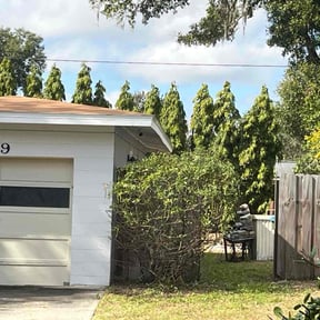 Bush Trimming by Emma lawn care reviewed on January 25, 2026