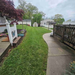 turf care by Charleston Green Team LLC. reviewed on September 30, 2023