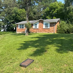 yard care by Cloud Eleven Landscaping Solution LLC reviewed on August 15, 2025