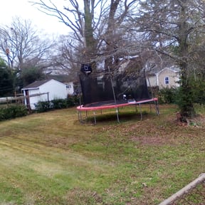 Leaf Removal by DLAWN SERVICE LLC reviewed on August 15, 2025