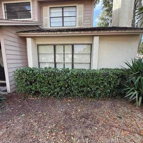 Bush Trimming by The Lawn Barber reviewed on March 27, 2025