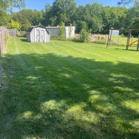 landscaping services by Northern Wolf reviewed on August 21, 2025