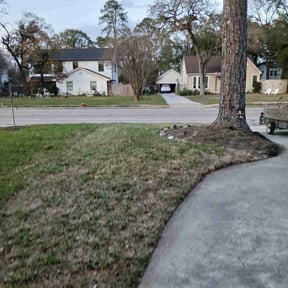 Leaf Removal by Jero's Landscape reviewed on March 25, 2026