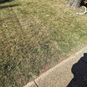 Bush Trimming by Neil's Landscaping and Home Services reviewed on May 17, 2024