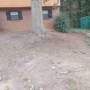 Bush Trimming by Mike’s lawn care reviewed on August 18, 2025